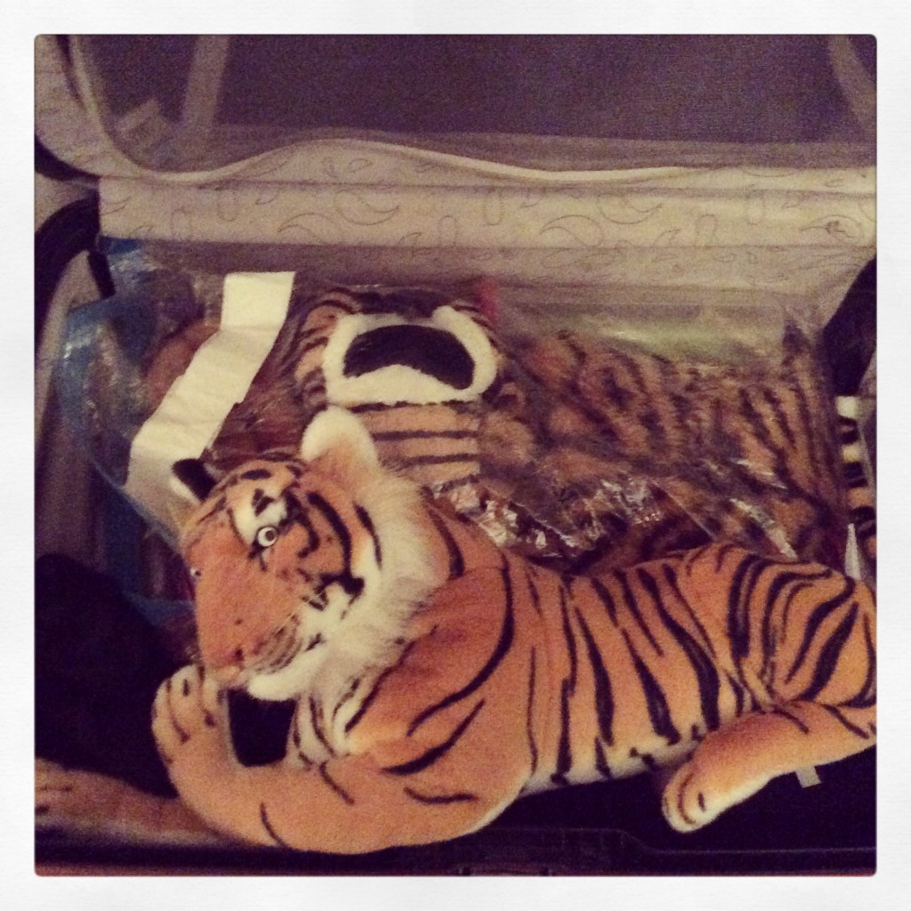 Tiger case